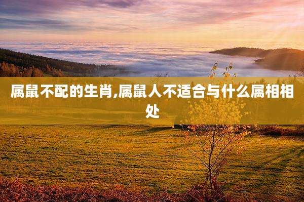 属鼠不配的生肖,属鼠人不适合与什么属相相处