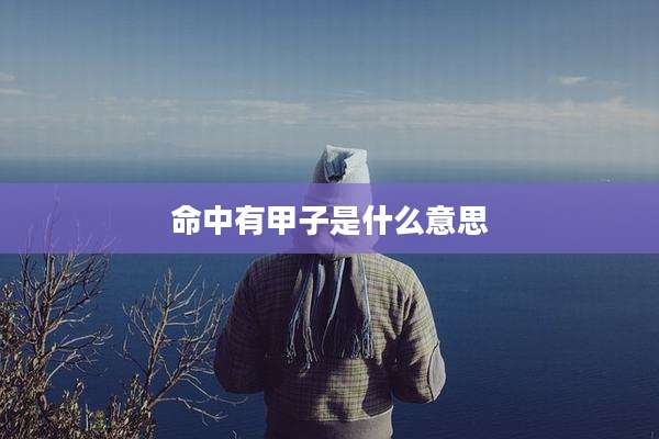 命中有甲子是什么意思