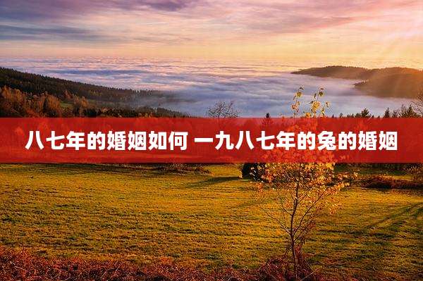 八七年的婚姻如何 一九八七年的兔的婚姻