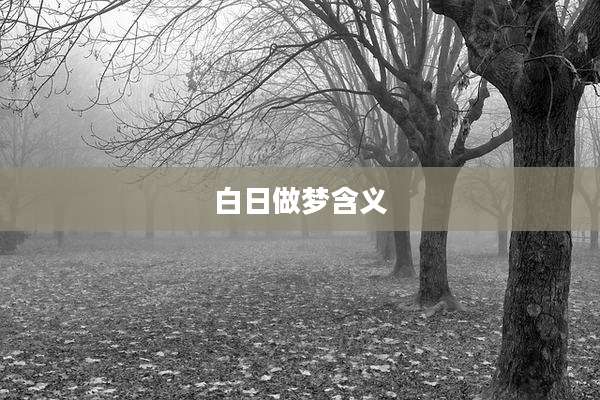 白日做梦含义