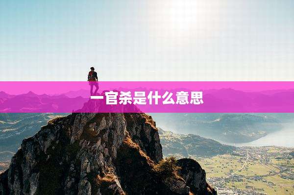 一官杀是什么意思