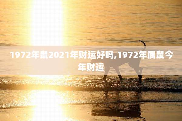 1972年鼠2021年财运好吗,1972年属鼠今年财运