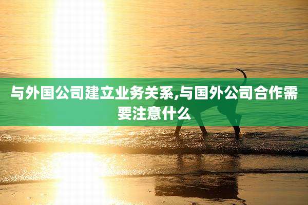 与外国公司建立业务关系,与国外公司合作需要注意什么