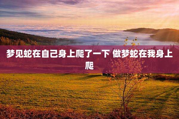 梦见蛇在自己身上爬了一下 做梦蛇在我身上爬