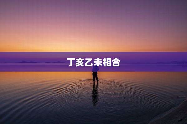 丁亥乙未相合