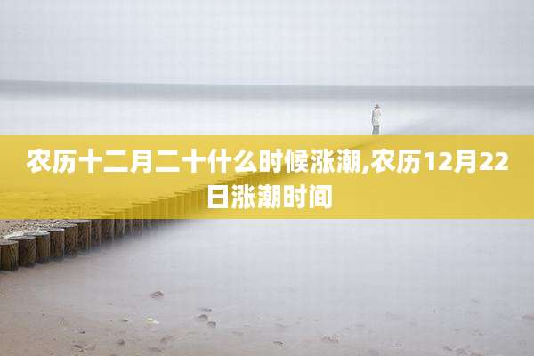 农历十二月二十什么时候涨潮,农历12月22日涨潮时间