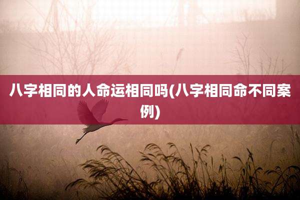 八字相同的人命运相同吗(八字相同命不同案例)