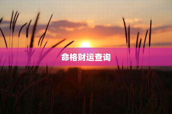 命格财运查询
