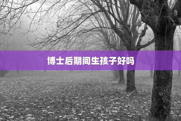 博士后期间生孩子好吗