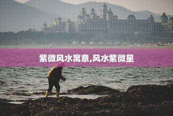 紫微风水寓意,风水紫微星