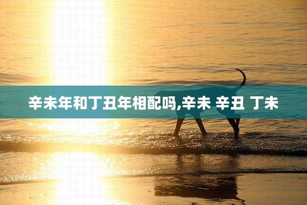 辛未年和丁丑年相配吗,辛未 辛丑 丁未