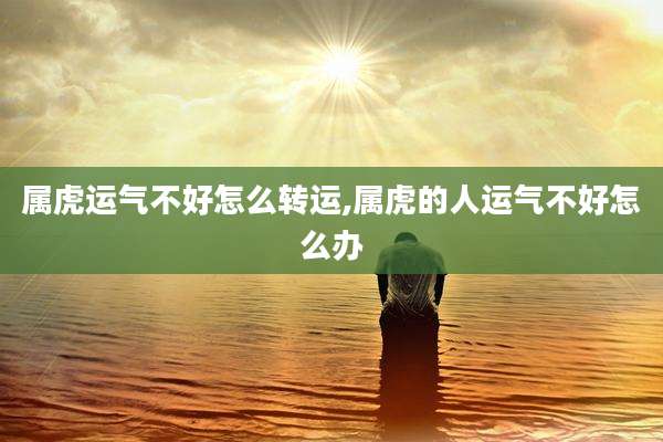 属虎运气不好怎么转运,属虎的人运气不好怎么办
