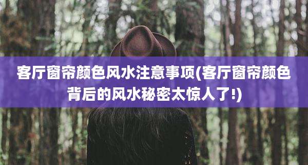 客厅窗帘颜色风水注意事项(客厅窗帘颜色背后的风水秘密太惊人了!)