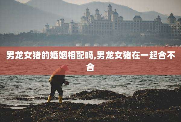 男龙女猪的婚姻相配吗,男龙女猪在一起合不合