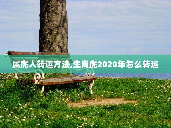 属虎人转运方法,生肖虎2020年怎么转运