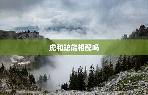 虎和蛇能相配吗