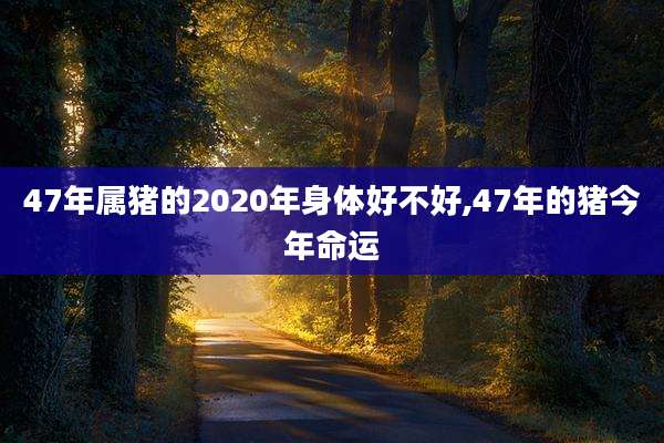 47年属猪的2020年身体好不好,47年的猪今年命运