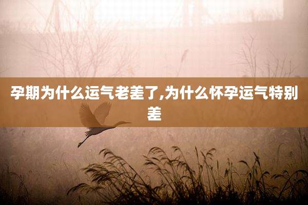 孕期为什么运气老差了,为什么怀孕运气特别差