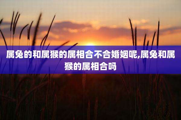 属兔的和属猴的属相合不合婚姻呢,属兔和属猴的属相合吗