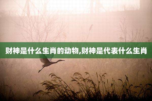 财神是什么生肖的动物,财神是代表什么生肖