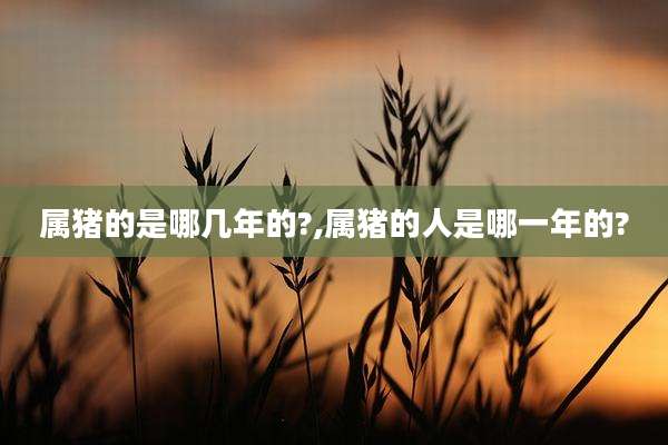 属猪的是哪几年的?,属猪的人是哪一年的?
