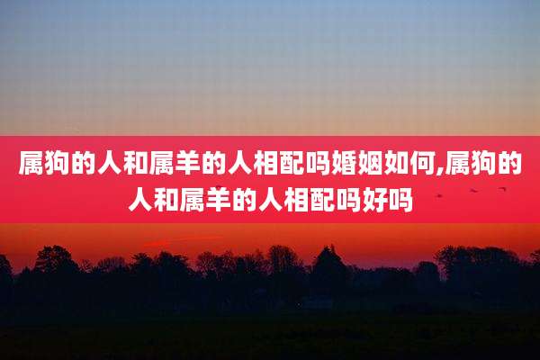 属狗的人和属羊的人相配吗婚姻如何,属狗的人和属羊的人相配吗好吗