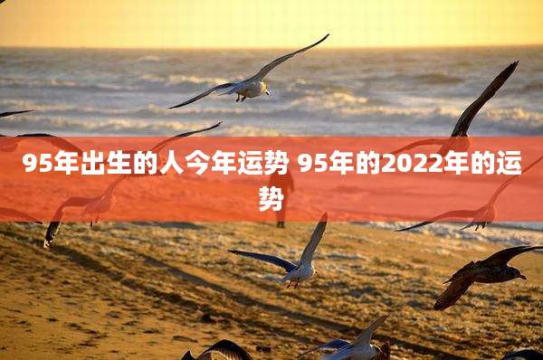 95年出生的人今年运势 95年的2022年的运势