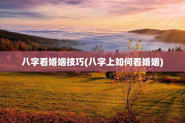 八字看婚姻技巧(八字上如何看婚姻)
