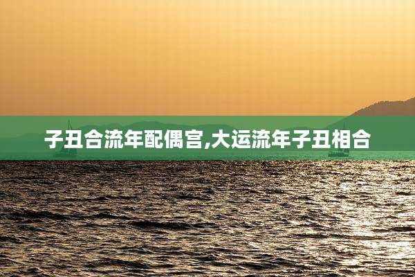 子丑合流年配偶宫,大运流年子丑相合
