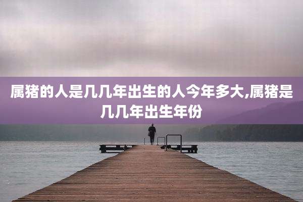 属猪的人是几几年出生的人今年多大,属猪是几几年出生年份