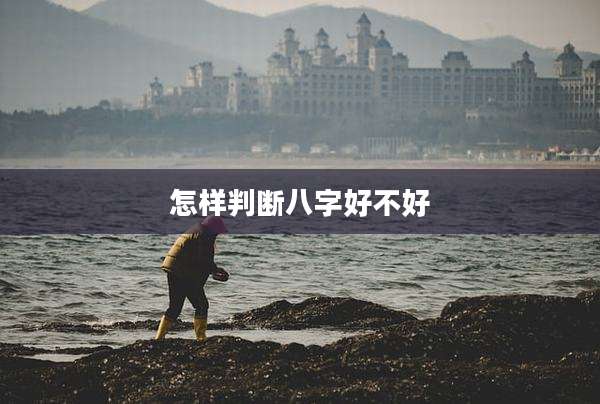 怎样判断八字好不好