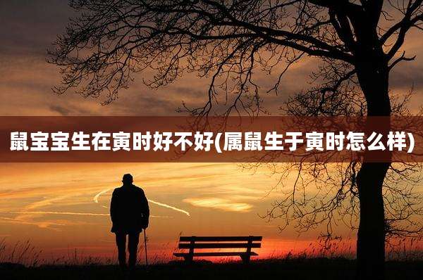 鼠宝宝生在寅时好不好(属鼠生于寅时怎么样)