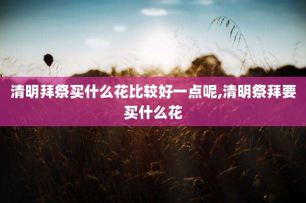 清明拜祭买什么花比较好一点呢,清明祭拜要买什么花