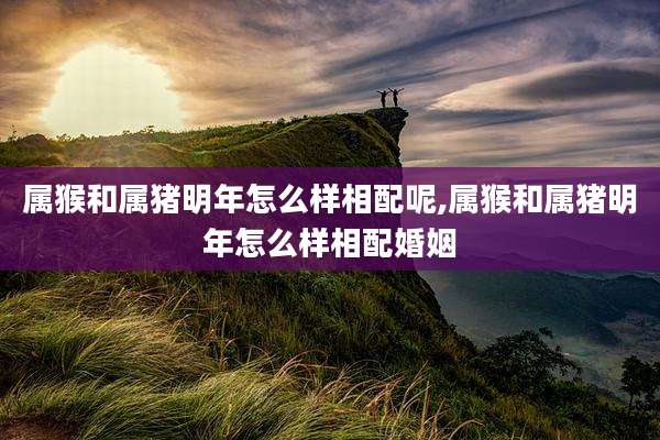 属猴和属猪明年怎么样相配呢,属猴和属猪明年怎么样相配婚姻