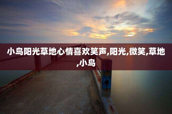 小鸟阳光草地心情喜欢笑声,阳光,微笑,草地,小鸟