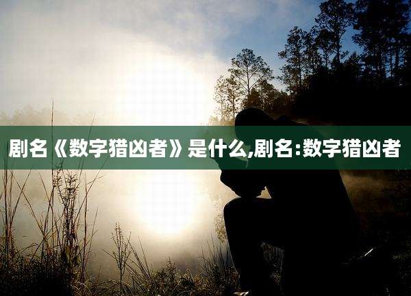 剧名《数字猎凶者》是什么,剧名:数字猎凶者