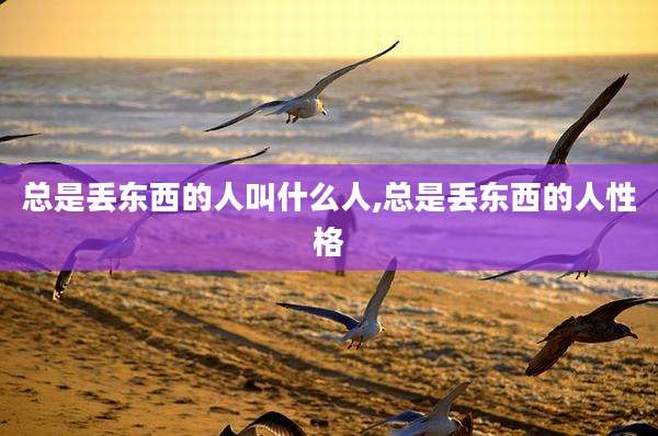 总是丢东西的人叫什么人,总是丢东西的人性格