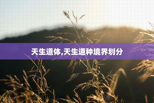 天生道体,天生道种境界划分