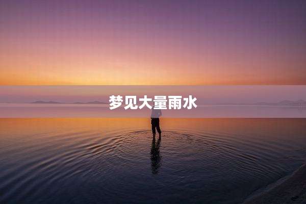 梦见大量雨水