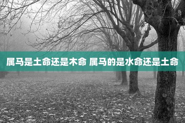 属马是土命还是木命 属马的是水命还是土命