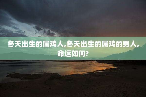 冬天出生的属鸡人,冬天出生的属鸡的男人,命运如何?