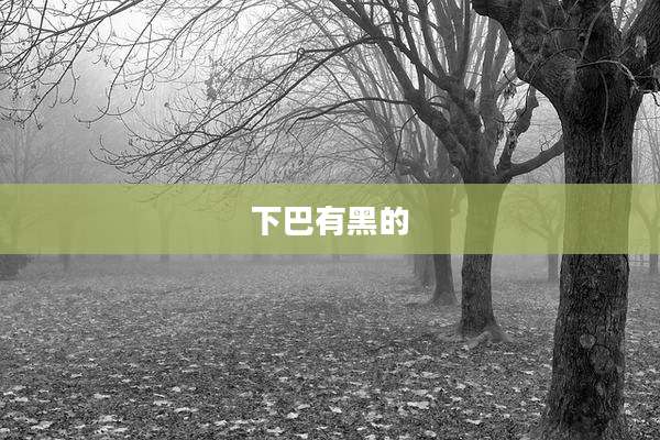 下巴有黑的