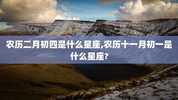农历二月初四是什么星座,农历十一月初一是什么星座?
