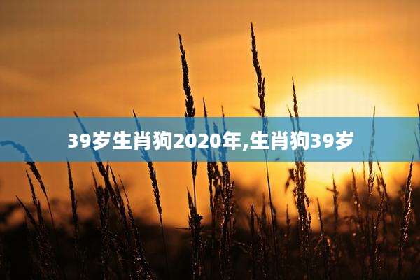39岁生肖狗2020年,生肖狗39岁