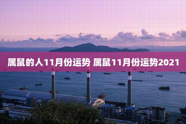 属鼠的人11月份运势 属鼠11月份运势2021