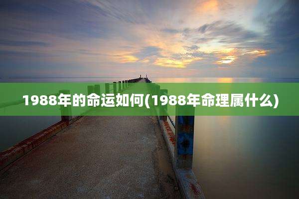 1988年的命运如何(1988年命理属什么)