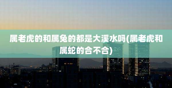 属老虎的和属兔的都是大溪水吗(属老虎和属蛇的合不合)