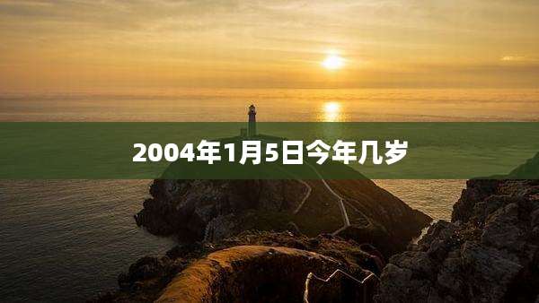2004年1月5日今年几岁