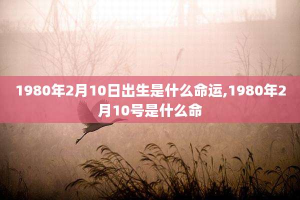 1980年2月10日出生是什么命运,1980年2月10号是什么命