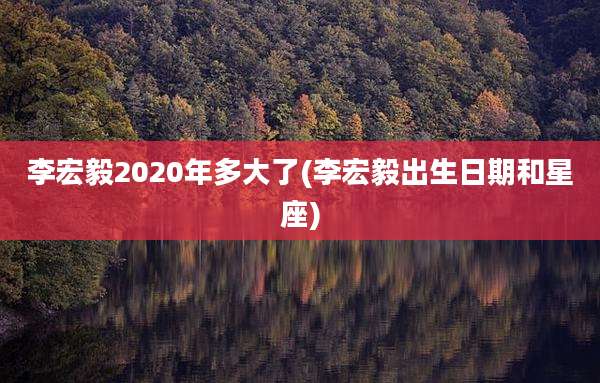 李宏毅2020年多大了(李宏毅出生日期和星座)